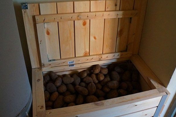 Как хранить картофель зимой
